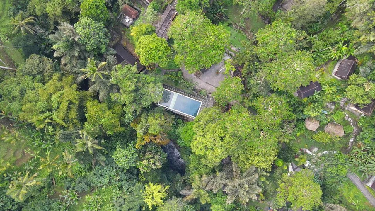 Bali Jungle Resort Tegallalang  Extérieur photo